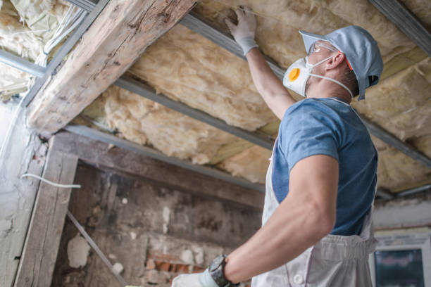 Best Commercial Insulation in Walton Hills, OH